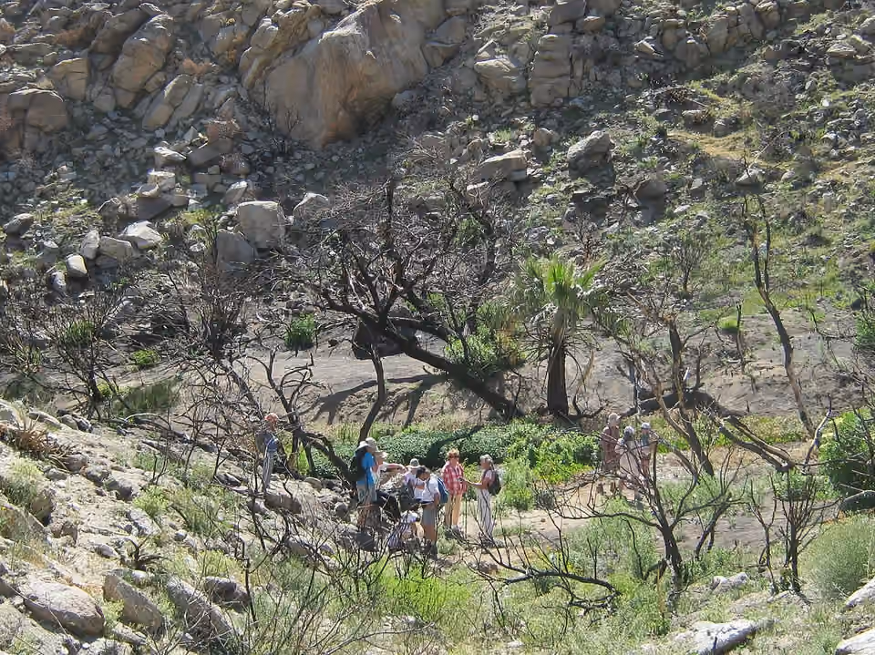 Groupe de randonneurs fait une pause près de Big Spring, dans le parc d’Anza-Borrego Un groupe de randonneurs fait une pause près de Big Spring, dans le parc d’Anza-Borrego.