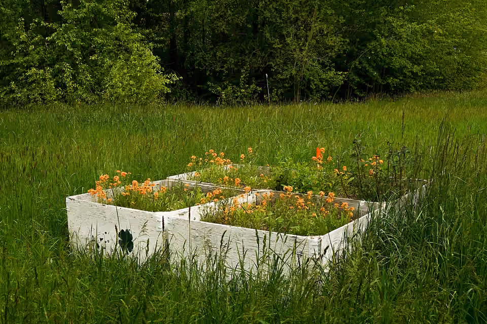 Jardin public pour pollinisateurs dans la vallée de Hood River en Oregon Jardin public pour pollinisateurs dans la vallée de Hood River en Oregon.