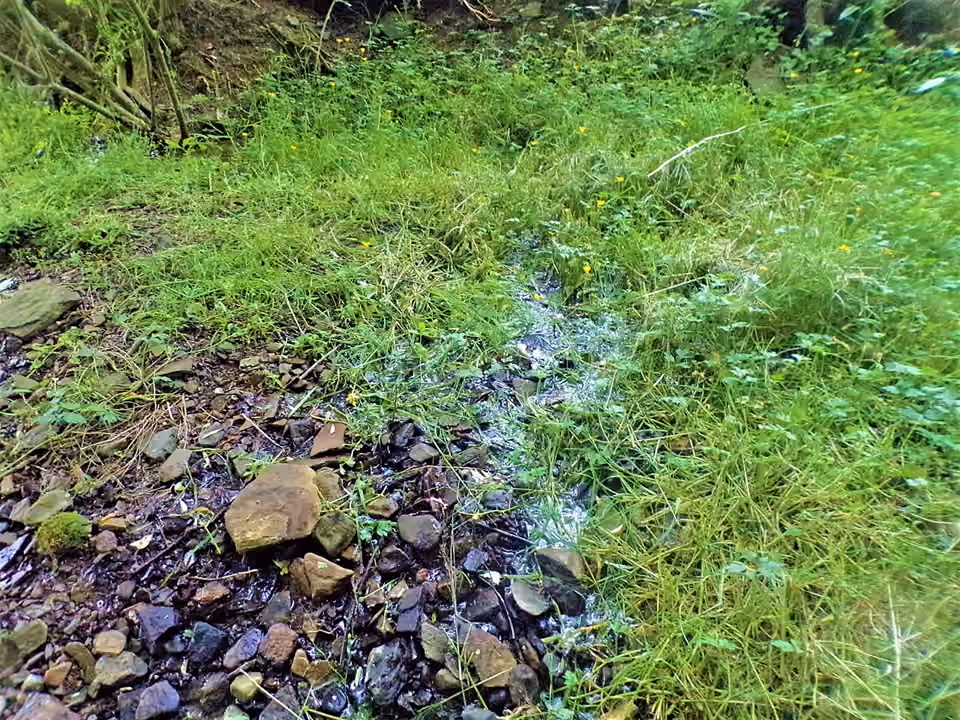 Eau d’une source naturelle s’écoulant entre herbes et rochers en Pennsylvanie Eau d’une source naturelle s’écoulant entre herbes et rochers en Pennsylvanie.
