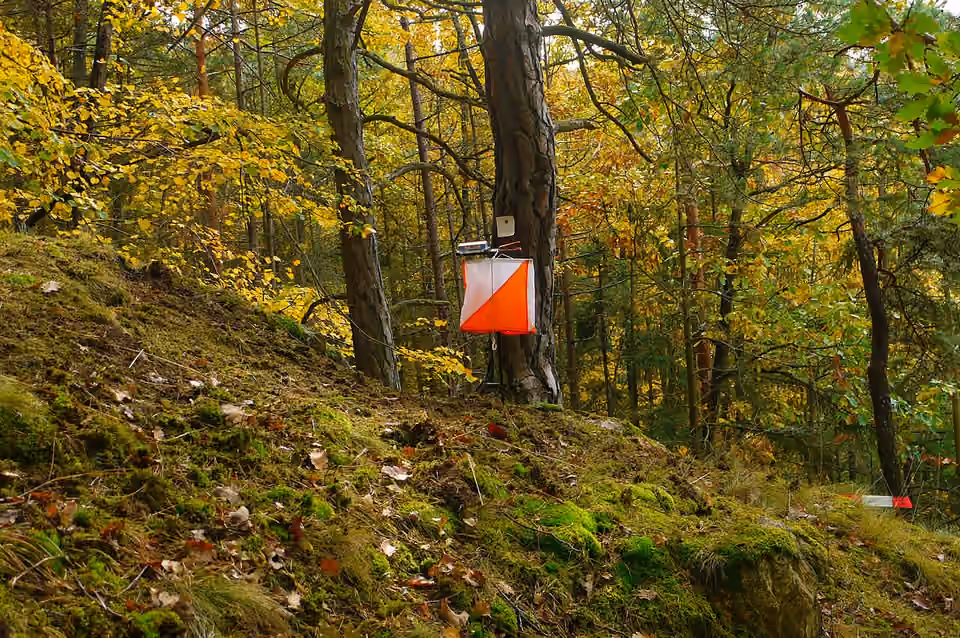 Balise de course d’orientation installée dans un sous-bois en automne Une balise de course d’orientation installée dans un sous-bois en automne.