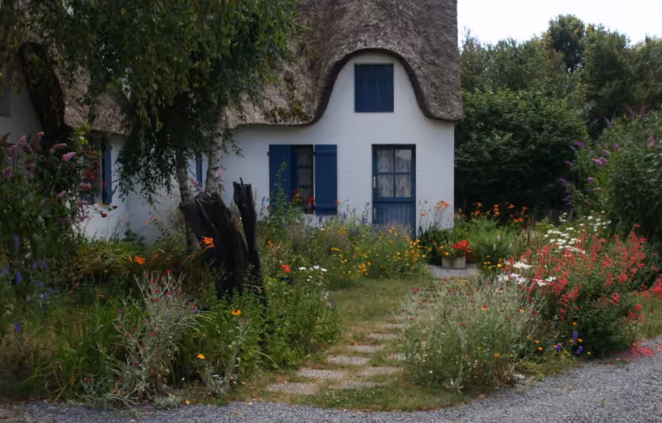Jardin naturel à végétation diversifiée en Loire-Atlantique Jardin naturel à végétation diversifiée en Loire-Atlantique.