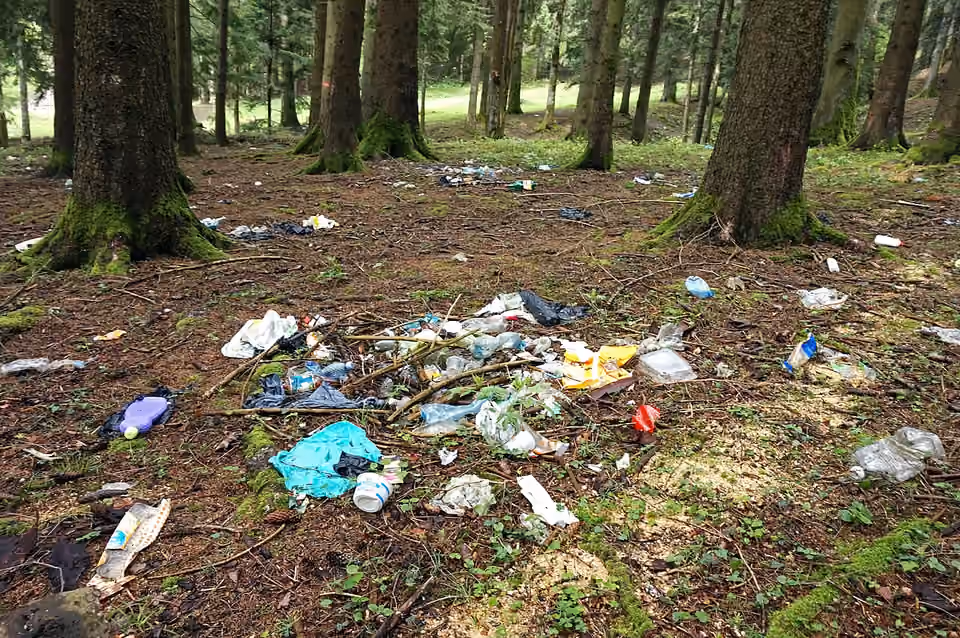 Des déchets abandonnés dans un espace boisé Des déchets abandonnés dans un espace boisé.