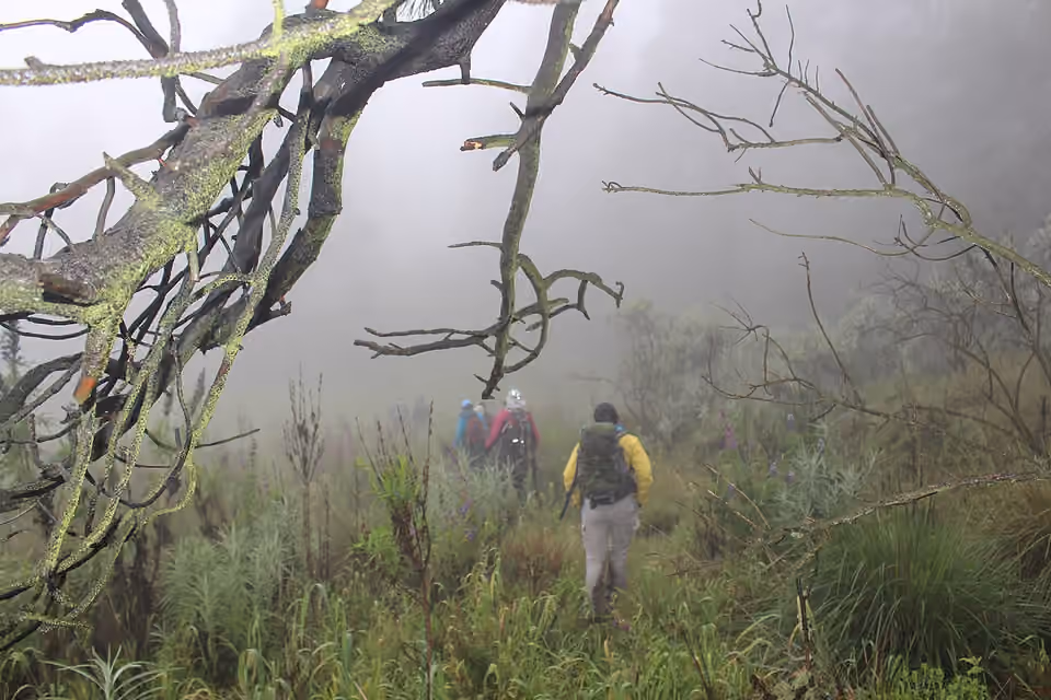 Guide de randonnée marche sur un sentier enveloppé de brouillard Un guide de randonnée marche sur un sentier enveloppé de brouillard.