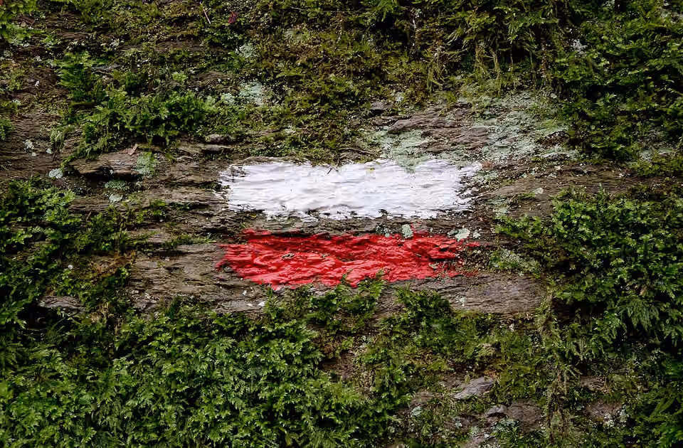 Marque rouge et blanche de grande randonnée peinte sur un support au bord d’un chemin Une marque rouge et blanche de grande randonnée peinte sur un support au bord d’un chemin.