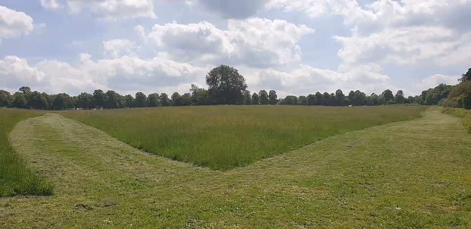 Chemin tondu traversant une prairie de Trent Park à Enfield Chemin tondu traversant une prairie de Trent Park à Enfield.