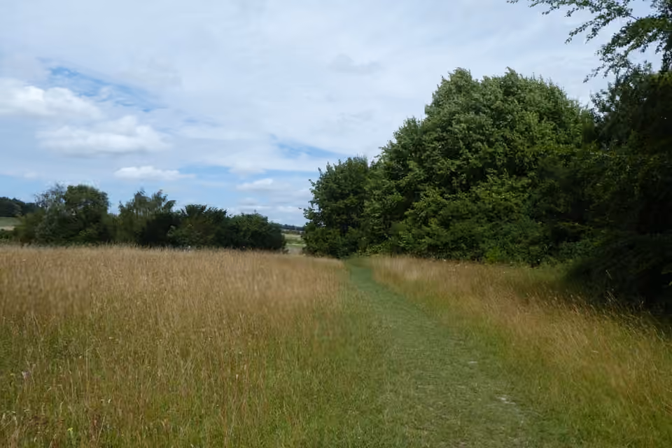 Passage fauché au milieu d’une végétation haute à Lullingstone Country Park Passage fauché au milieu d’une végétation haute à Lullingstone Country Park.
