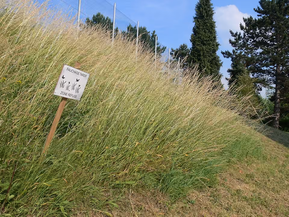 Panneau « Fauchage tardif – Zone refuge » sur un talus d’herbes hautes dans la cour du lycée Pasteur à Lille Panneau « Fauchage tardif – Zone refuge » sur un talus d’herbes hautes dans la cour du lycée Pasteur à Lille.