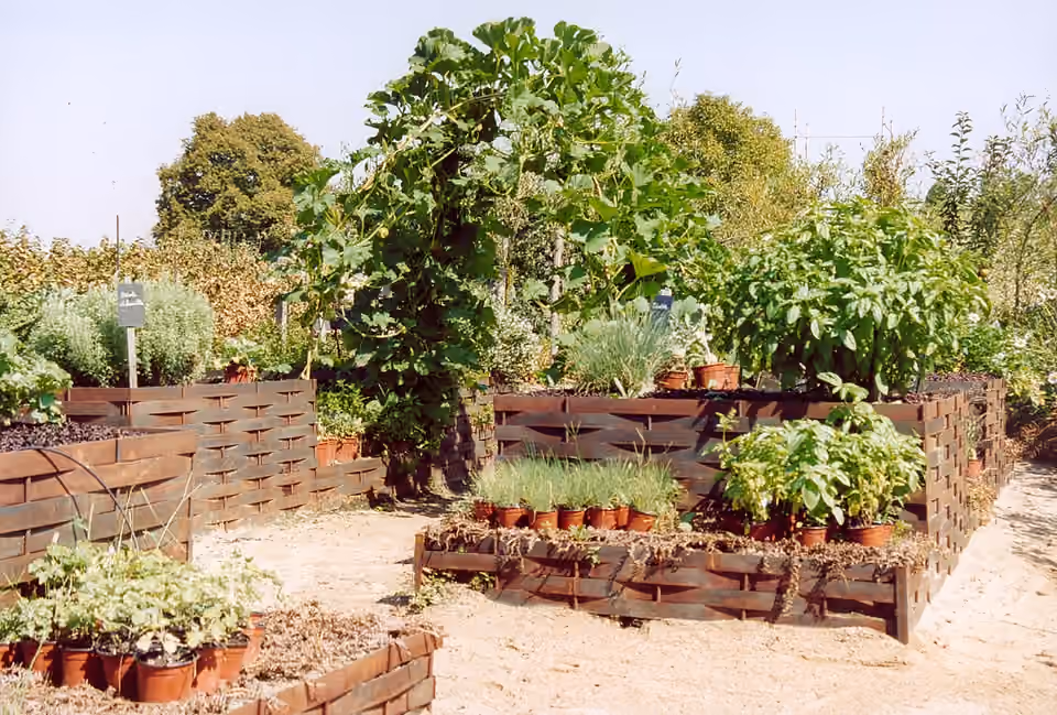 Vue d’ensemble du potager du château de La Bussière dans le Loiret Vue d’ensemble du potager du château de La Bussière dans le Loiret.