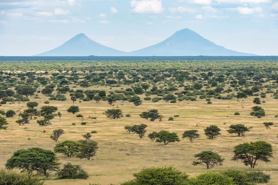 Paysage envahi par des ligneux et une zone éclaircie près des monts Omatako, en Namibie Un paysage envahi par des ligneux et une zone éclaircie près des monts Omatako, en Namibie.
