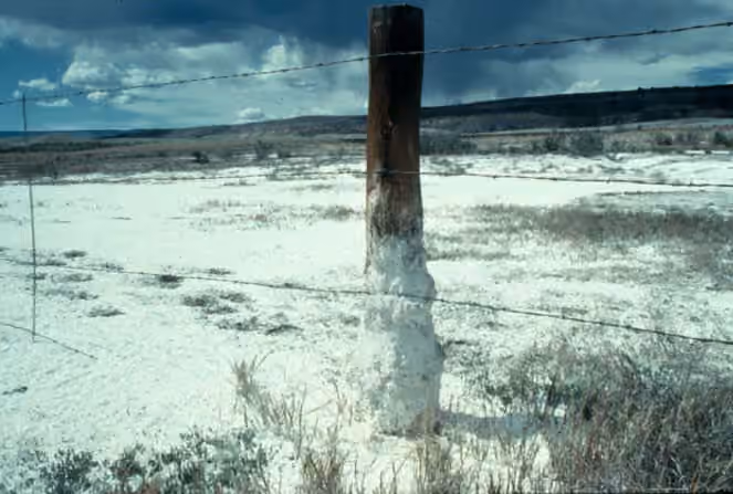 Sol affecté par la salinité dans le Colorado, avec des dépôts clairs en surface Sol affecté par la salinité dans le Colorado, avec des dépôts clairs en surface.