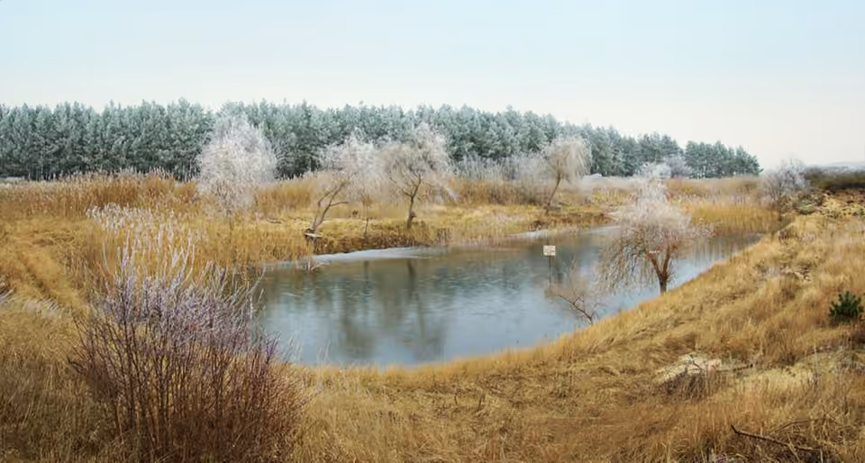 Mare naturelle entourée de végétation à Swarzynice, en Pologne Mare naturelle entourée de végétation à Swarzynice, en Pologne.