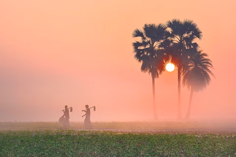 Paysage rural dans une brume matinale d’hiver au Bangladesh Paysage rural dans une brume matinale d’hiver au Bangladesh.
