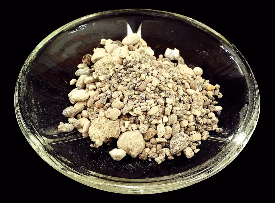 Échantillon de phosphorite présenté sur un fond clair Échantillon de phosphorite présenté sur un fond clair.