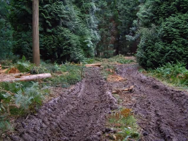 Ornières boueuses laissées par des engins de coupe et de débardage dans la New Forest Ornières boueuses laissées par des engins de coupe et de débardage dans la New Forest.