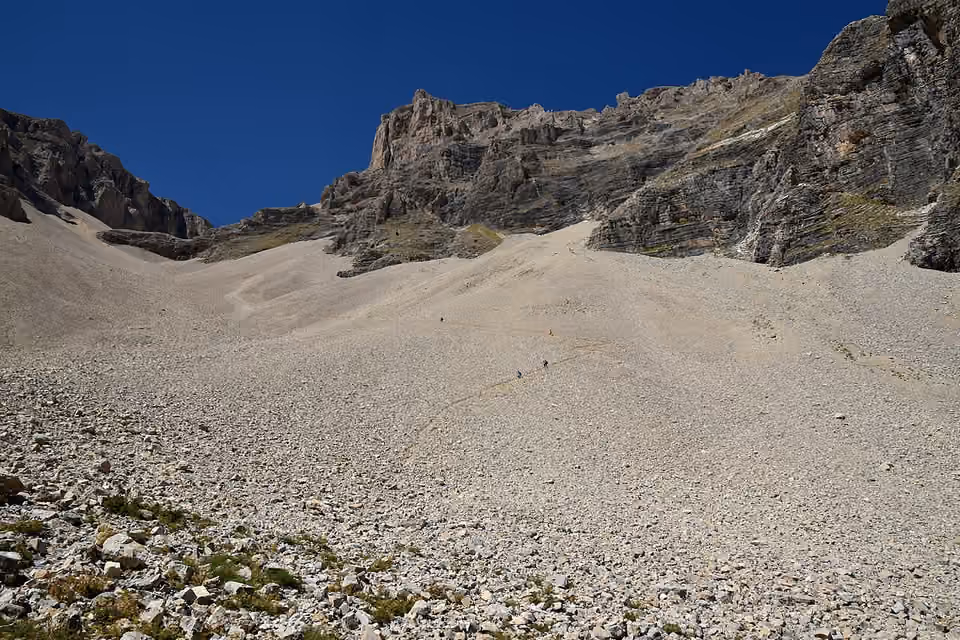 Éboulis calcaires dans la partie inférieure de la combe de Mai, dans les Hautes-Alpes Éboulis calcaires dans la partie inférieure de la combe de Mai, dans les Hautes-Alpes.