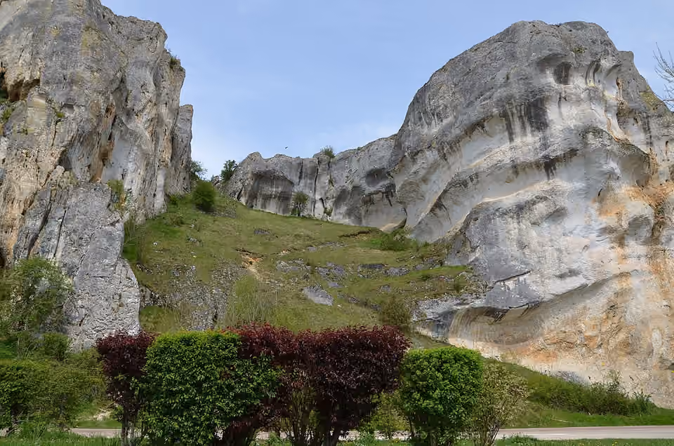 Falaises calcaires du Saussois et végétation de leurs corniches, dans l’Yonne Falaises calcaires du Saussois et végétation de leurs corniches, dans l’Yonne.