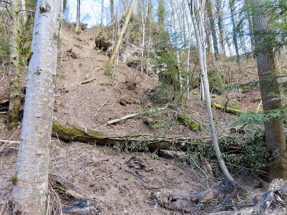 Versant boisé et matériaux rocheux dans le ravin de Küsnacht, en Suisse Versant boisé et matériaux rocheux dans le ravin de Küsnacht, en Suisse.