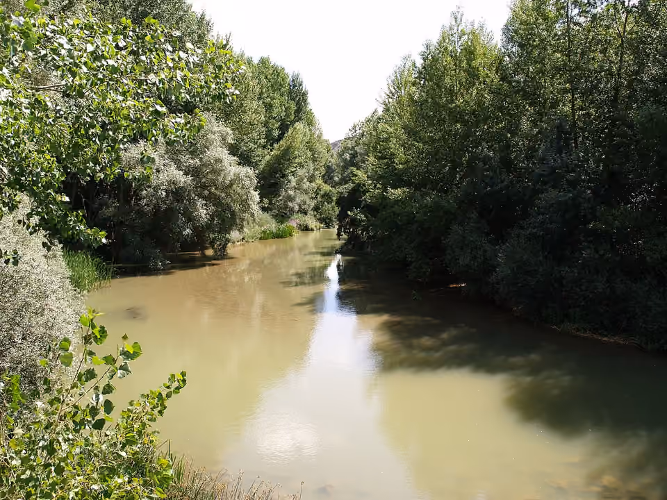Rivière Pisuerga et végétation de ses berges à Astudillo, en Espagne Rivière Pisuerga et végétation de ses berges à Astudillo, en Espagne.