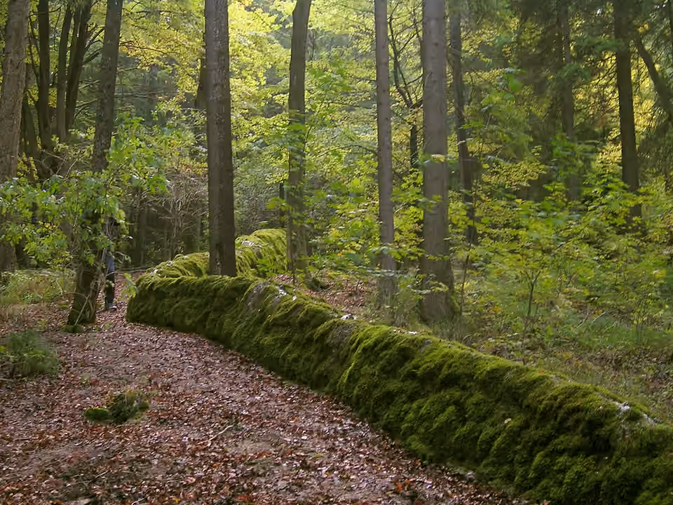 Petit cours d’eau déposant du calcaire près d’Obererasbach, dans l’Altmühltal Petit cours d’eau déposant du calcaire près d’Obererasbach, dans l’Altmühltal.