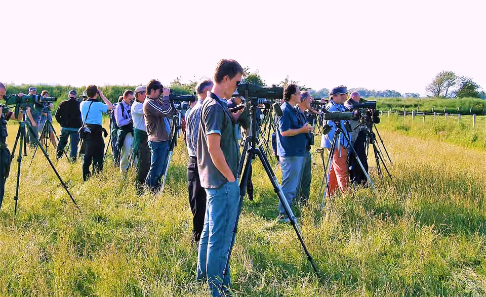 Observateurs d’oiseaux utilisant des jumelles et des longues-vues à Caerlaverock Observateurs d’oiseaux utilisant des jumelles et des longues-vues à Caerlaverock.