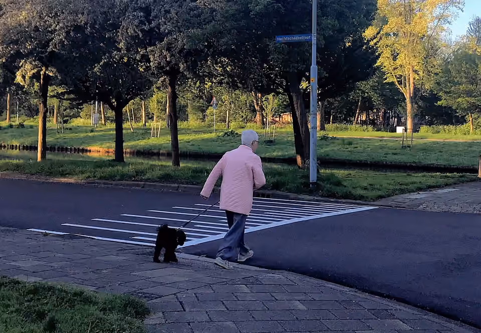Personne promène un chien tenu en laisse au bord d’un espace arboré Une personne promène un chien tenu en laisse au bord d’un espace arboré.
