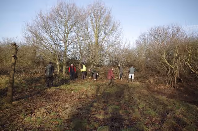 Bénévoles réunis pour un chantier d’entretien dans les marais de Cranham Bénévoles réunis pour un chantier d’entretien dans les marais de Cranham.