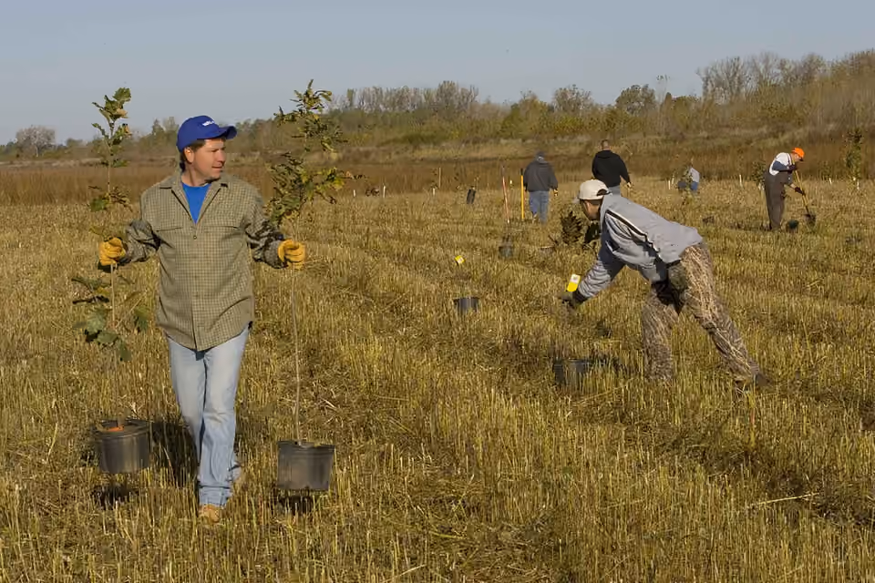 Plusieurs personnes en train de planter des arbres aux États-Unis Plusieurs personnes en train de planter des arbres aux États-Unis.