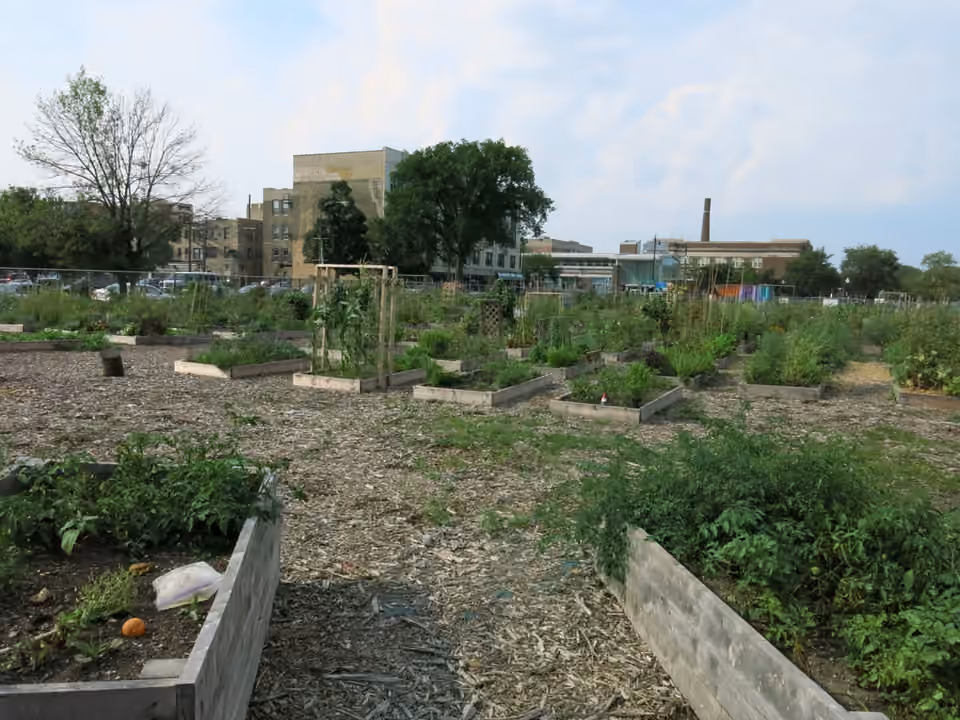 Parcelles d’un jardin partagé dans le quartier de Rogers Park à Chicago Parcelles d’un jardin partagé dans le quartier de Rogers Park à Chicago.