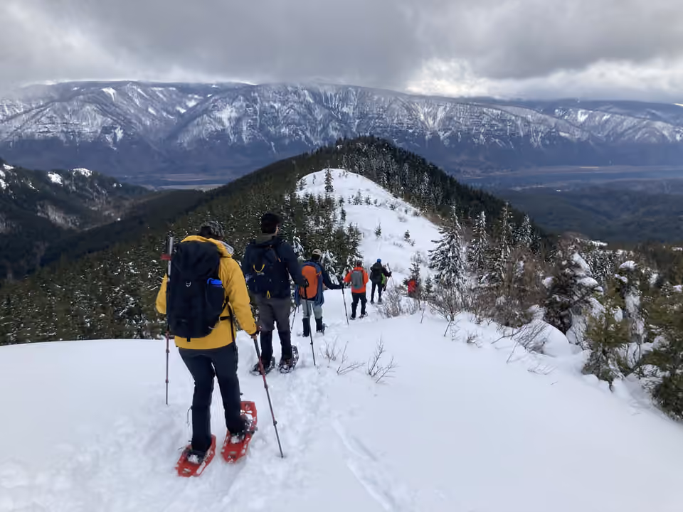 Groupe de pratiquants en raquettes descendant Hardy Ridge dans l’État de Washington Groupe de pratiquants en raquettes descendant Hardy Ridge dans l’État de Washington.