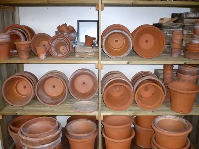 Pots de fleurs en terre cuite rangés sur des étagères à Down House Pots de fleurs en terre cuite rangés sur des étagères à Down House.