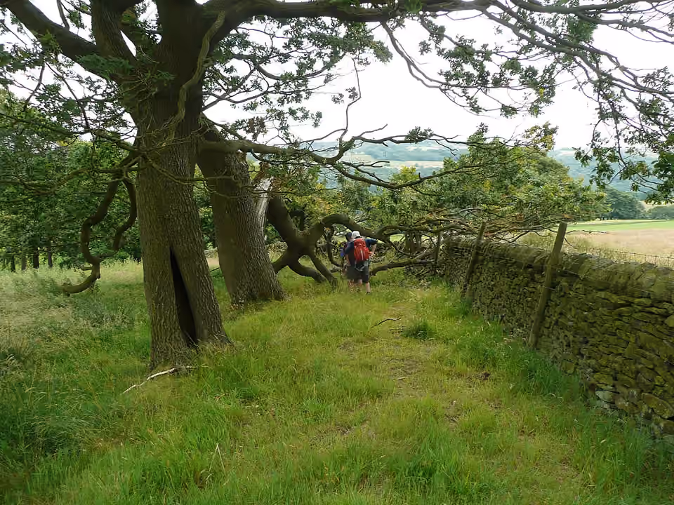 Arbre tombé barre un chemin piéton près de Sowerby Bridge, en Angleterre Un arbre tombé barre un chemin piéton près de Sowerby Bridge, en Angleterre.
