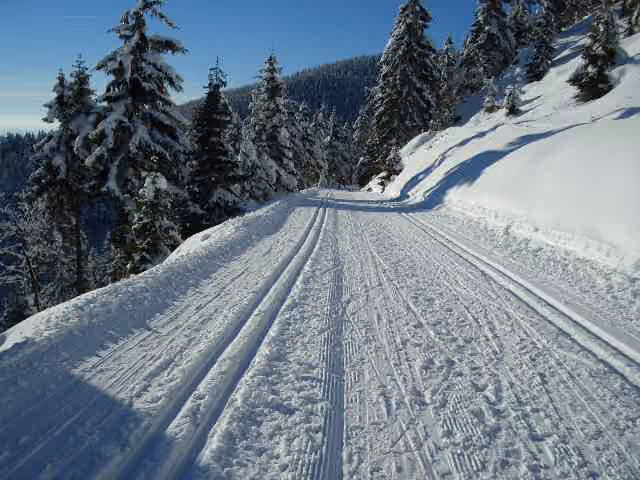 Piste de ski de fond tracée dans la neige Une piste de ski de fond tracée dans la neige.