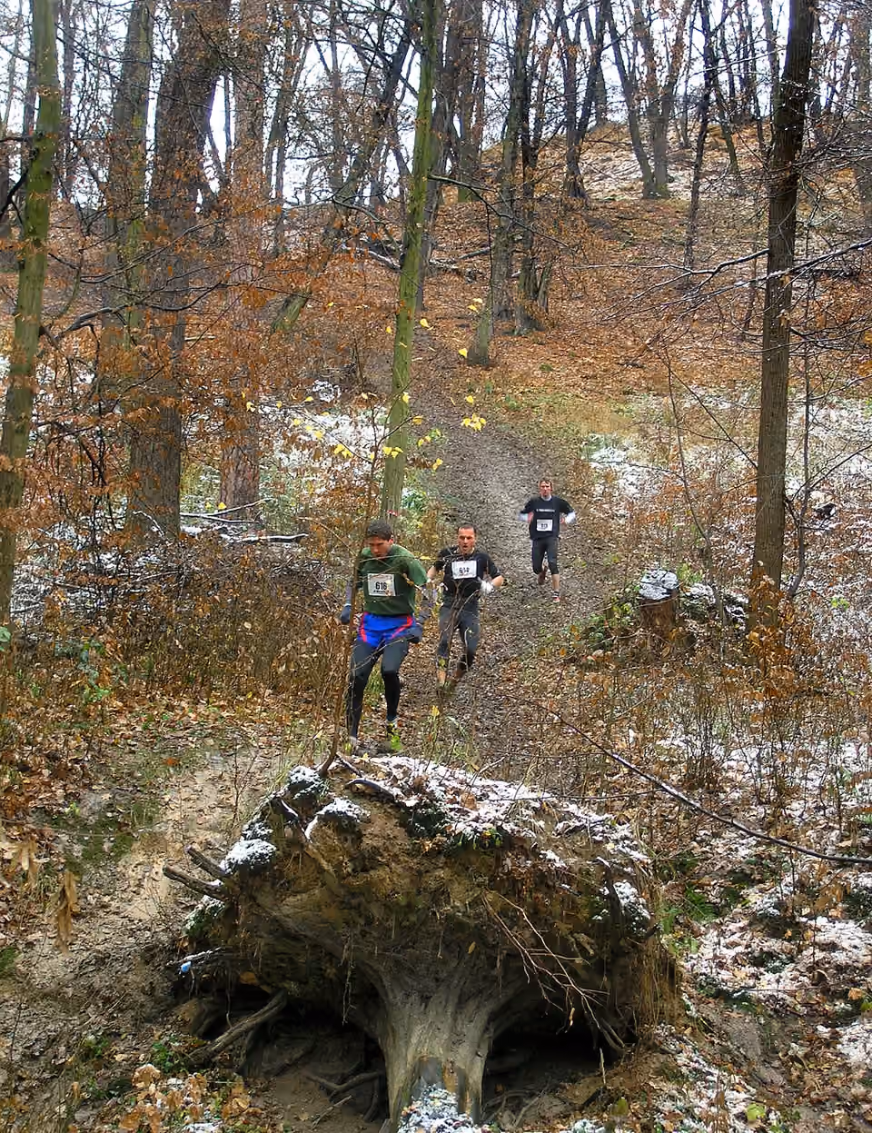 Coureurs sur une pente du parcours de la Velká kunratická à Prague Coureurs sur une pente du parcours de la Velká kunratická à Prague.
