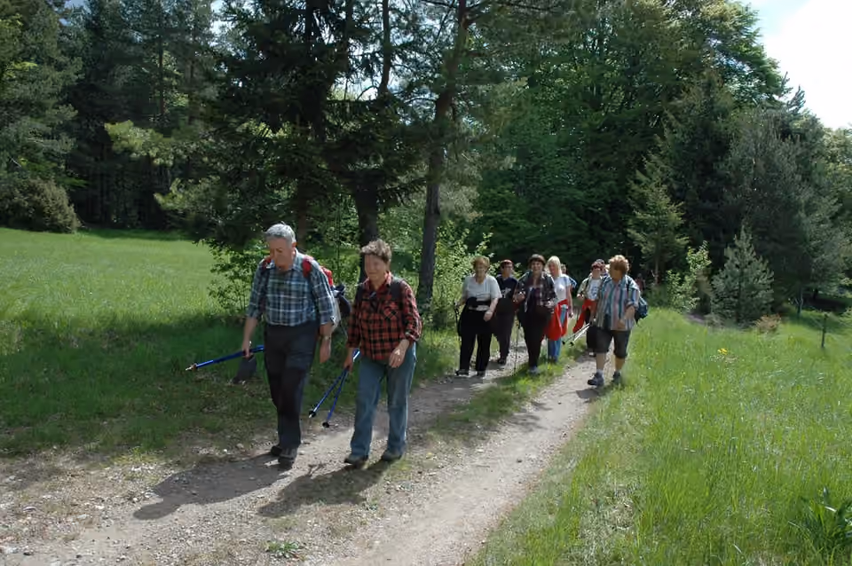 Des marcheurs utilisent leurs bâtons sur un chemin près de Babno Polje, en Slovénie Des marcheurs utilisent leurs bâtons sur un chemin près de Babno Polje, en Slovénie.