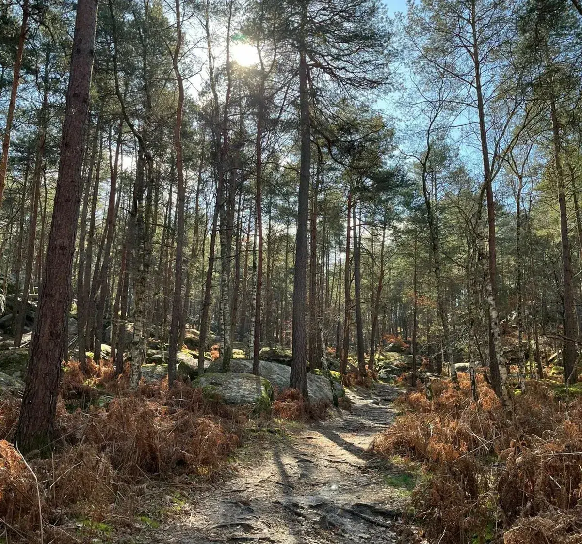 Paysage de randonnée en Centre-Val de Loire