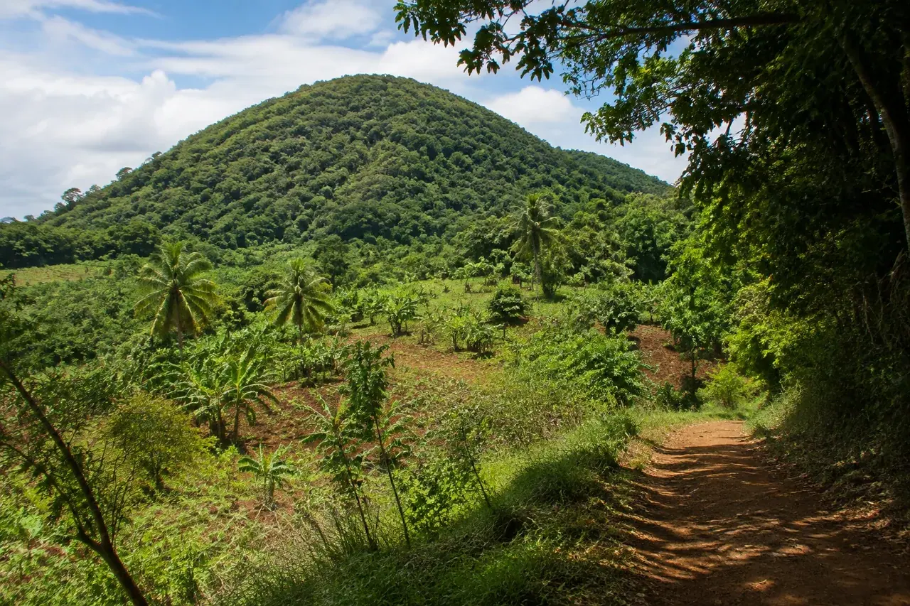 Colline volcanique arrondie et cultures tropicales à Mayotte