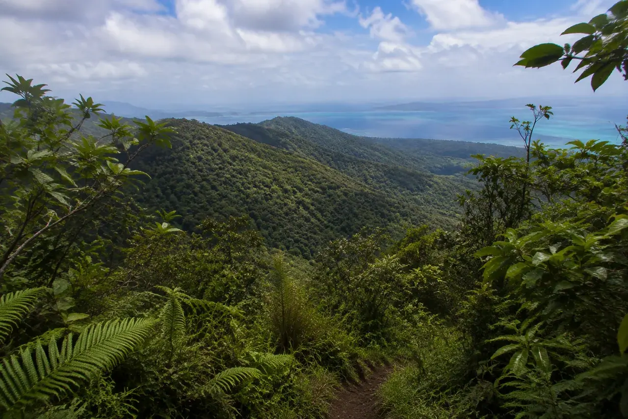 Perspective sur une crête forestière et un lagon lointain à Mayotte