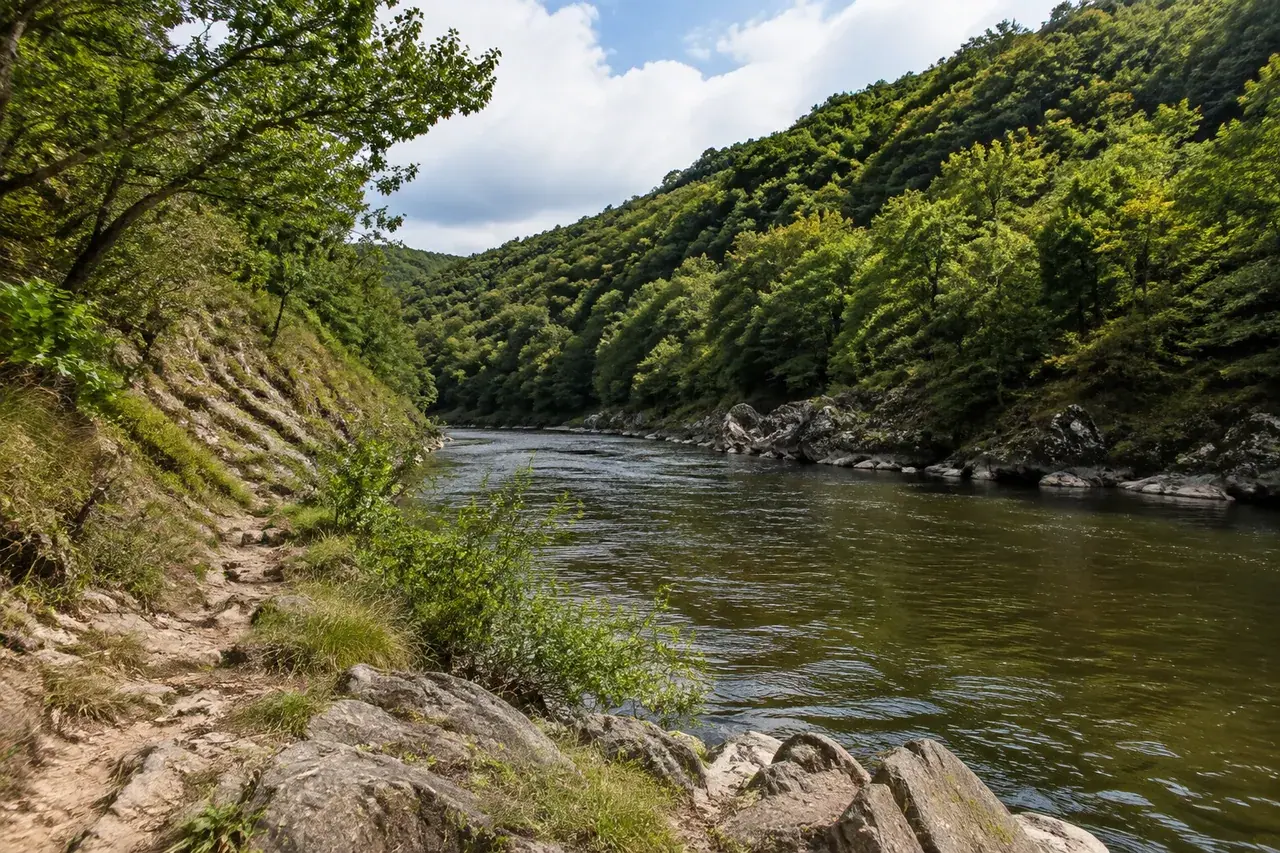 Rivière encaissée entre versants forestiers et berges rocheuses en Corrèze