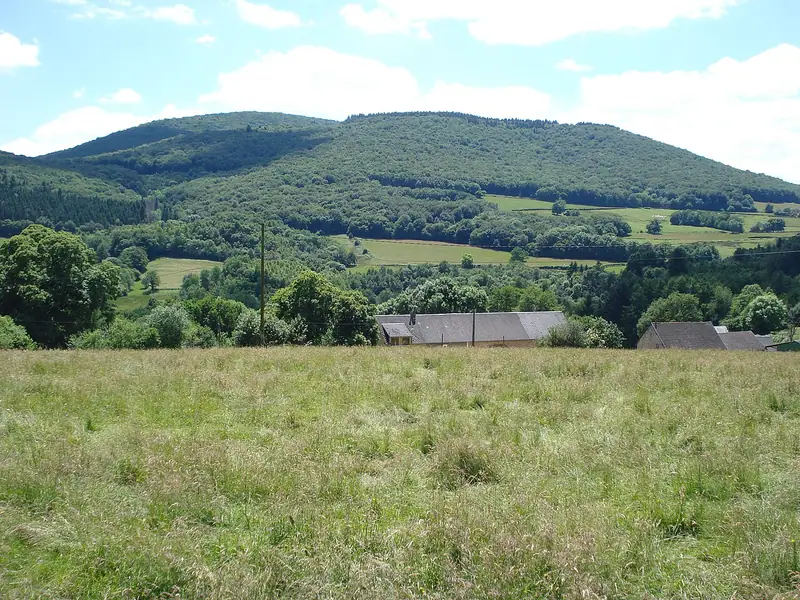 Massif boisé du mont Beuvray vu au-dessus des prairies.
