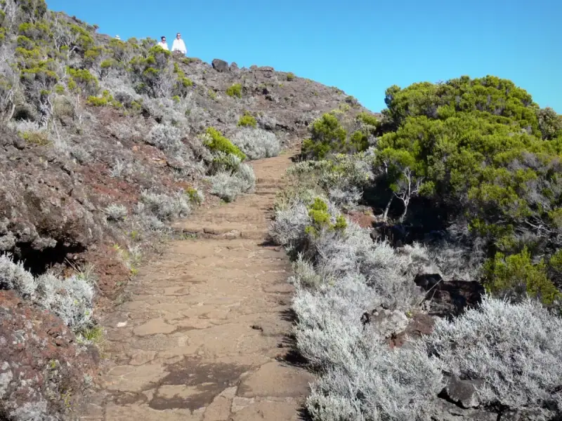 Paysage de randonnée en La Réunion