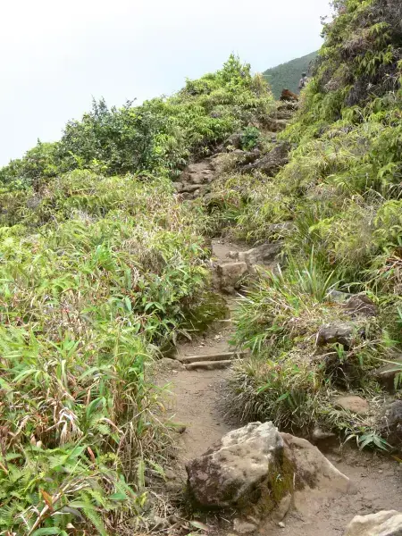 Paysage de randonnée en Guadeloupe