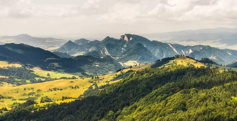 Prairies et forêts du massif des Pieniny, avec les sommets rocheux des Trzy Korony à l’arrière-plan.