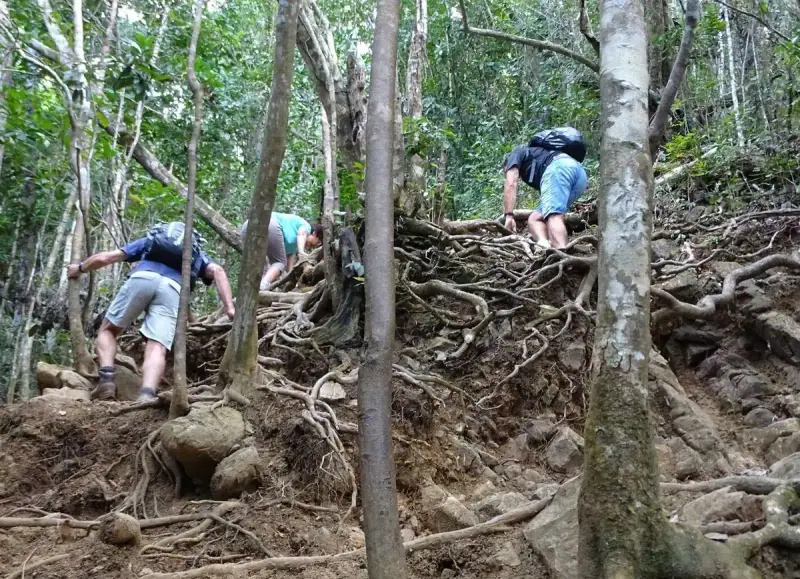 Paysage de randonnée en Mayotte