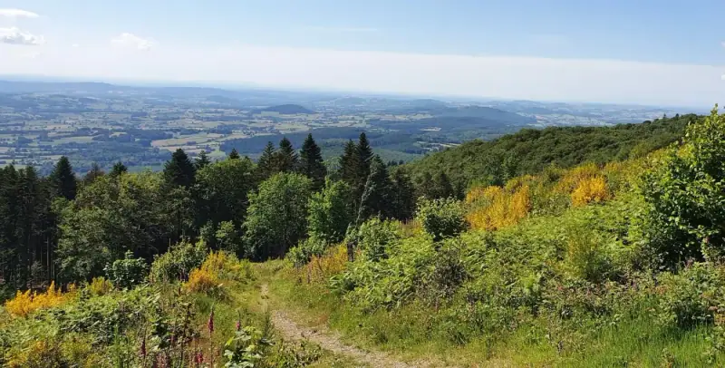 Paysage de randonnée en Bourgogne-Franche-Comté